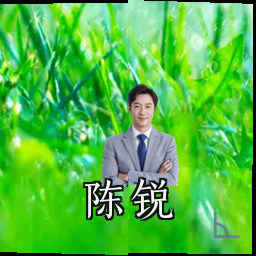 陈锐